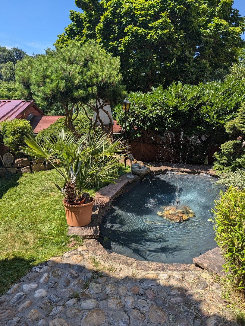 Angelegter Gartenteich mit Fontäne und mediterraner Bepflanzung